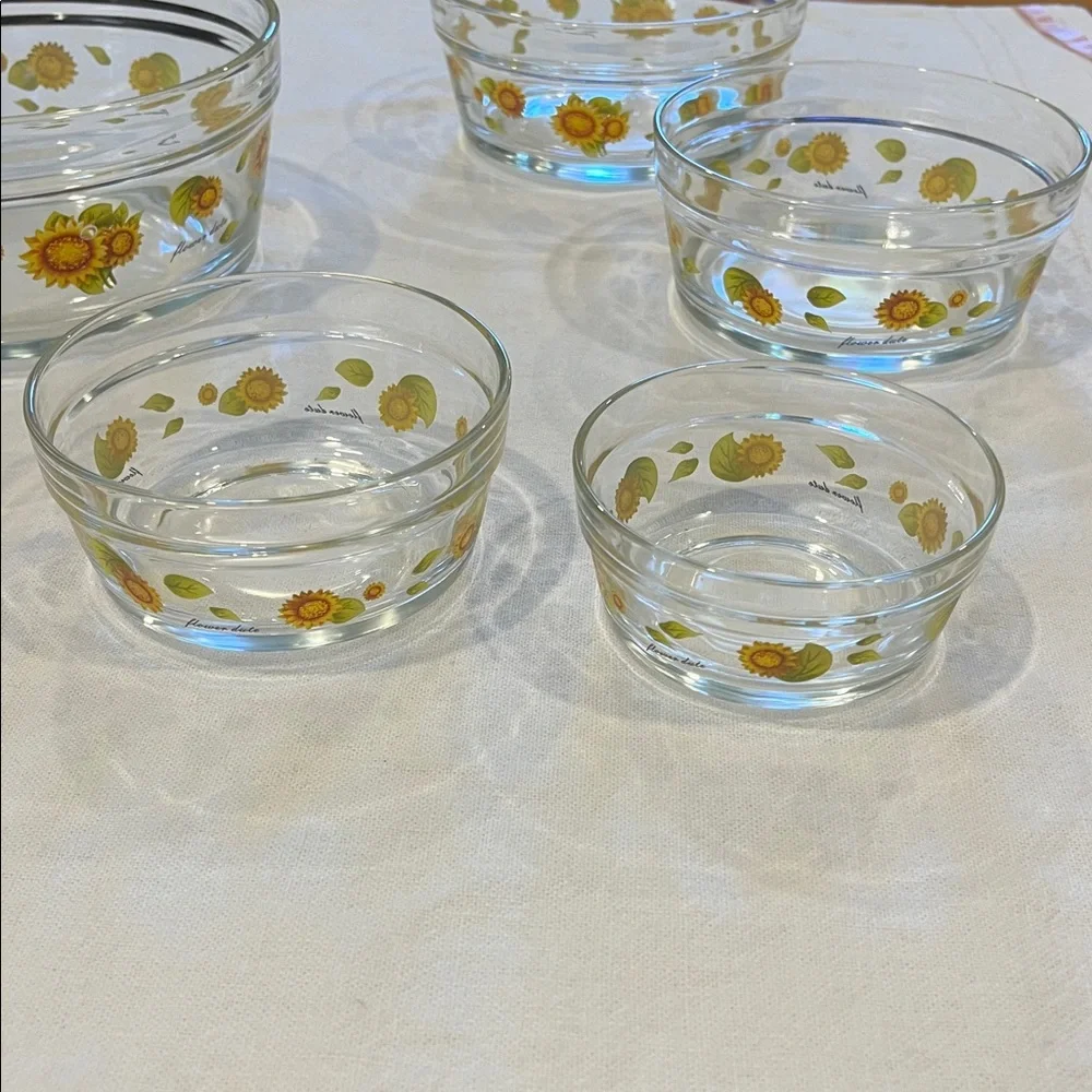 Glass Bowl Set